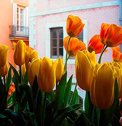 Boutique Hotel Davallada- Adults Only Σίτζες Εξωτερικό φωτογραφία